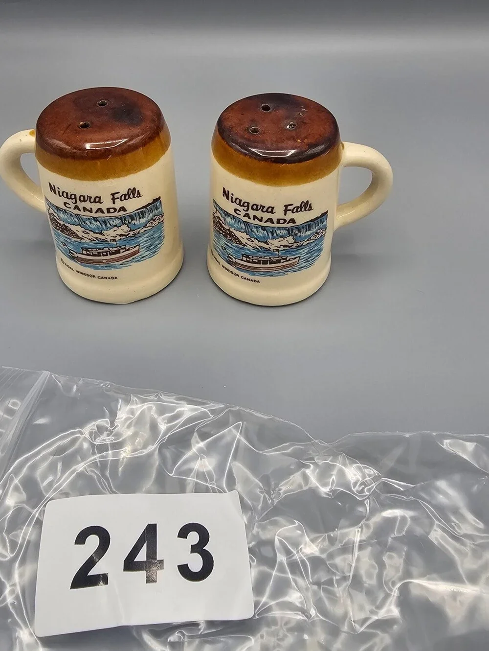 Vintage Niagara Falls Canada Ceramic Salt and Pepper Shakers Set